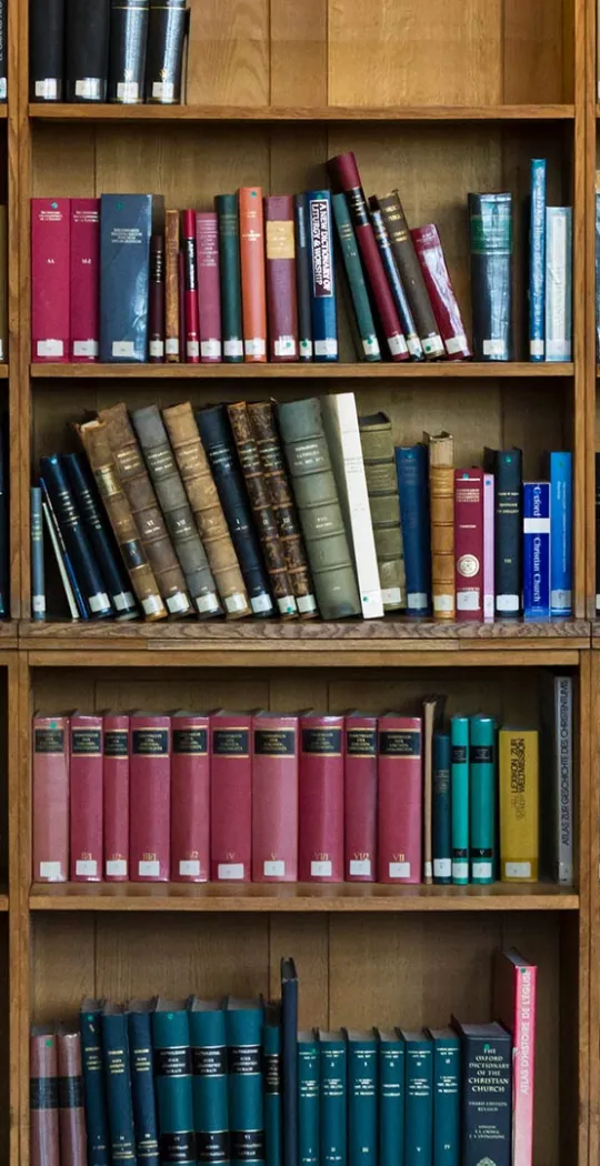 Bücherregal.