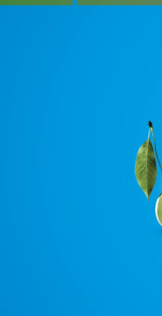 Invest Stuttgart 2026