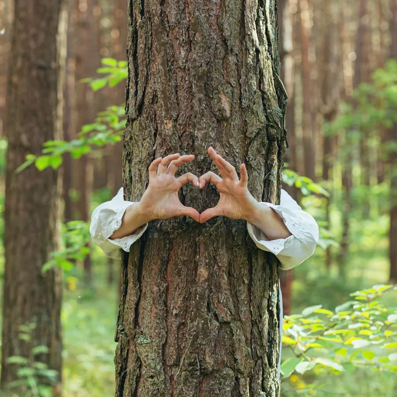 Natur, Baum, Herz, Nachhaltigkeit. 